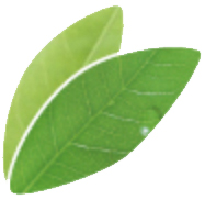 アリーナマーク